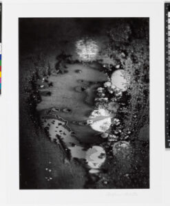 Beginnings, Rochester, New York