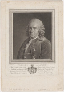 Portait of Carl Linnaeus