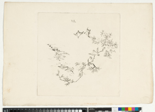 Soleil levant - Image 3