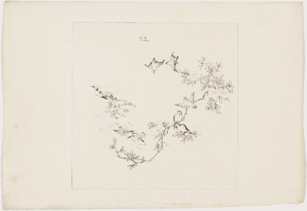 Soleil levant - Image 1