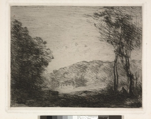 Campagne boisée - Image 1