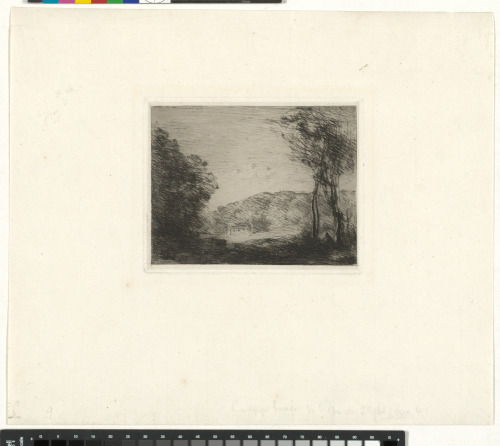 Campagne boisée - Image 2