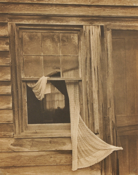 Open Window – Honey House - Image 2