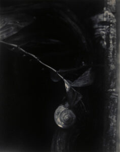 Romantic Still Life 1