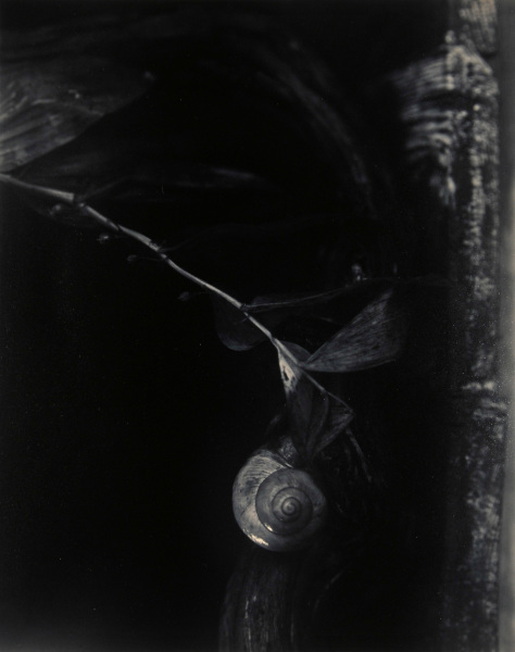 ROMANTIC STILL LIFE 1