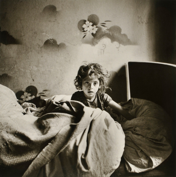 The Only Flowers of Her Youth, Warsaw - Image 2