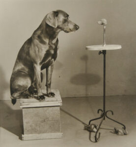 Contemplating the Bust of Man Ray