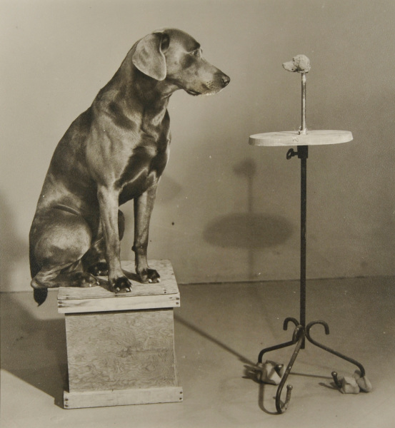 Contemplating the Bust of Man Ray