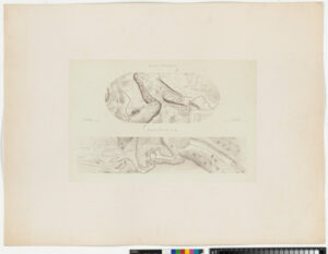 Route impériale no. 119, de Carcassone à Saint-Girons. Travaux de rectification des cotes de Baudet, par la grotte naturelle de l’Arize ou du Mas-d’Azil