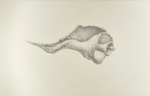 Assateague - Image 2