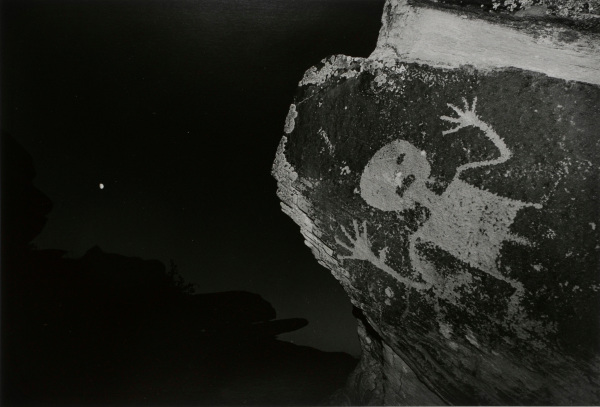Petrified Forest, Arizona - Image 2