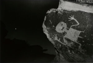 Petrified Forest, Arizona