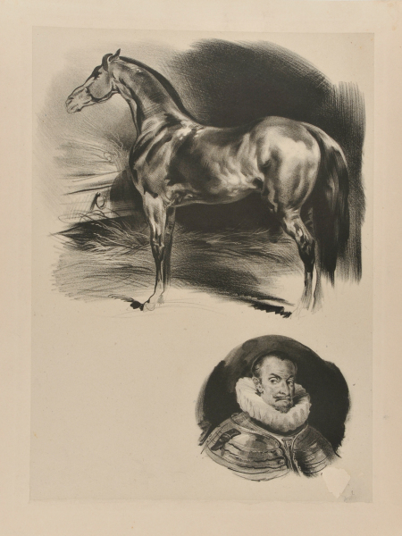 Horse, with Portrait of a Man Wearing a Ruff Below
