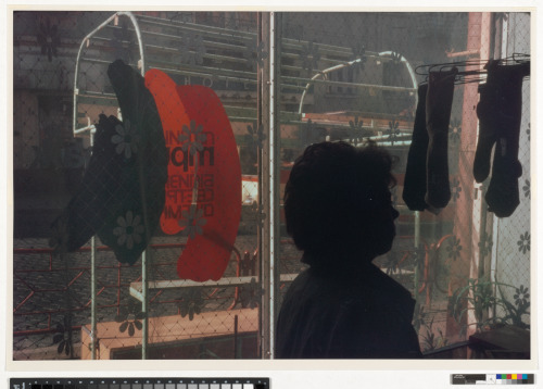 Stocking, Chernowitz - Image 2