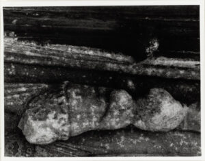 Rome: Arch of Constantine 5