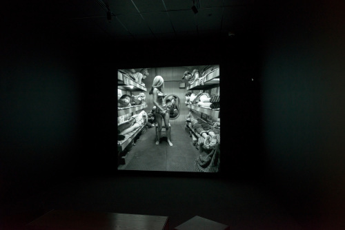 IN THE BODY OF THE STURGEON