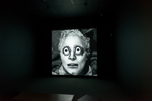 In The Body of The Sturgeon - Image 9