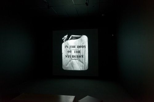 In The Body of The Sturgeon - Image 8