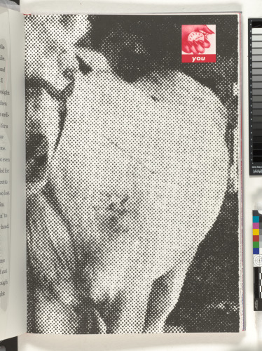 My Pretty Pony - Image 45