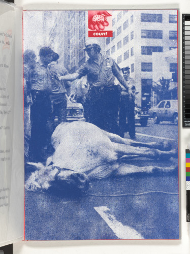 My Pretty Pony - Image 30