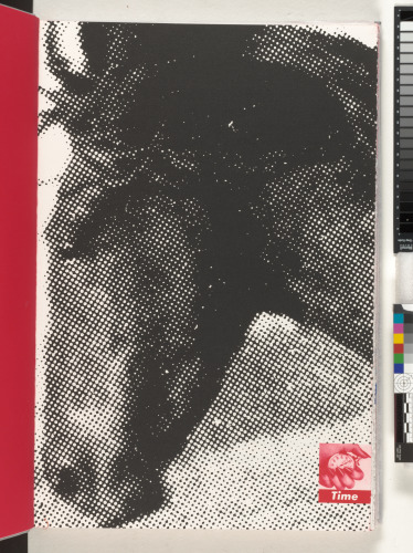 My Pretty Pony - Image 2