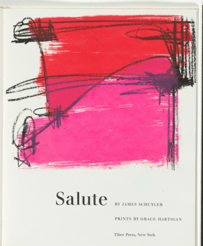 Salute - Image 5