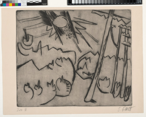 Wald und Sonne - Image 1