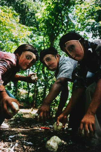 Youths Practice Throwing Contact Bombs in Forest Surrounding Monimbo - Image 4