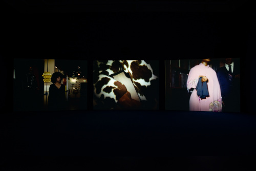 Baltimore - Image 34