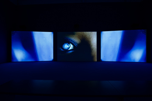 Baltimore - Image 29