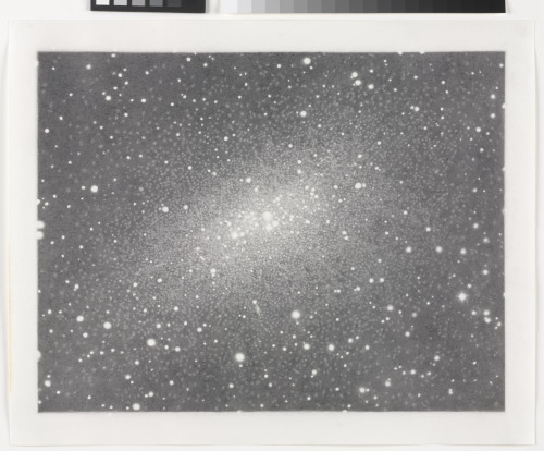 Untitled (Cassiopeia)