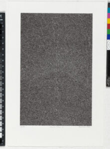 From the portfolio “BOOK ONE”