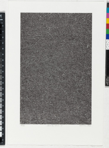 From the portfolio “BOOK ONE”