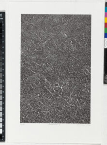 From the portfolio “BOOK ONE”