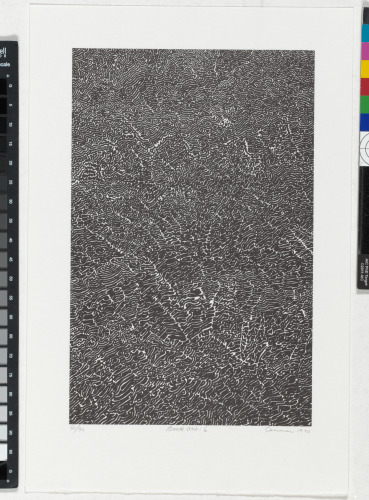 From the portfolio “BOOK ONE”