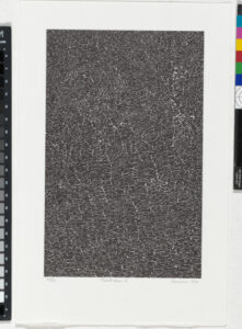 From the portfolio “BOOK ONE”