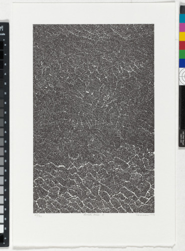 From the portfolio “BOOK ONE”