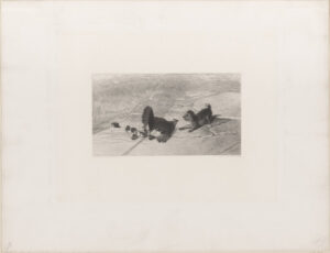 Hen Defending Her Chicks