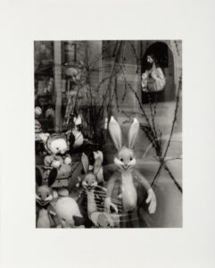 On Walls and Behind Glass, 17