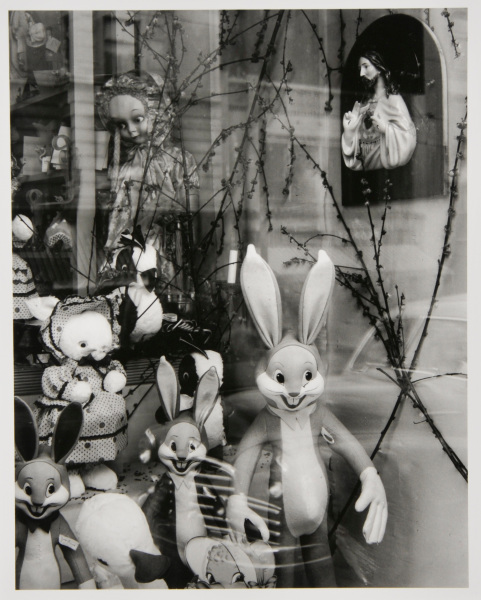 On Walls and Behind Glass, 17 - Image 2