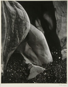 Eroded Rock, Point Lobos