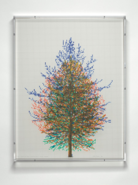 NUMBERS AND TREES, TIERGARTEN SERIES 3: TREE #6, SEPTEMBER