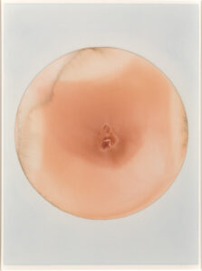 The melting globe (sienna, umber)