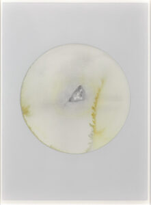 Your memory of now (opening)