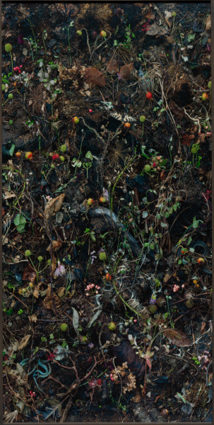 Woven #25a and b - Image 2