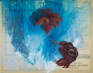 Convex (recalibrating a blind spot)