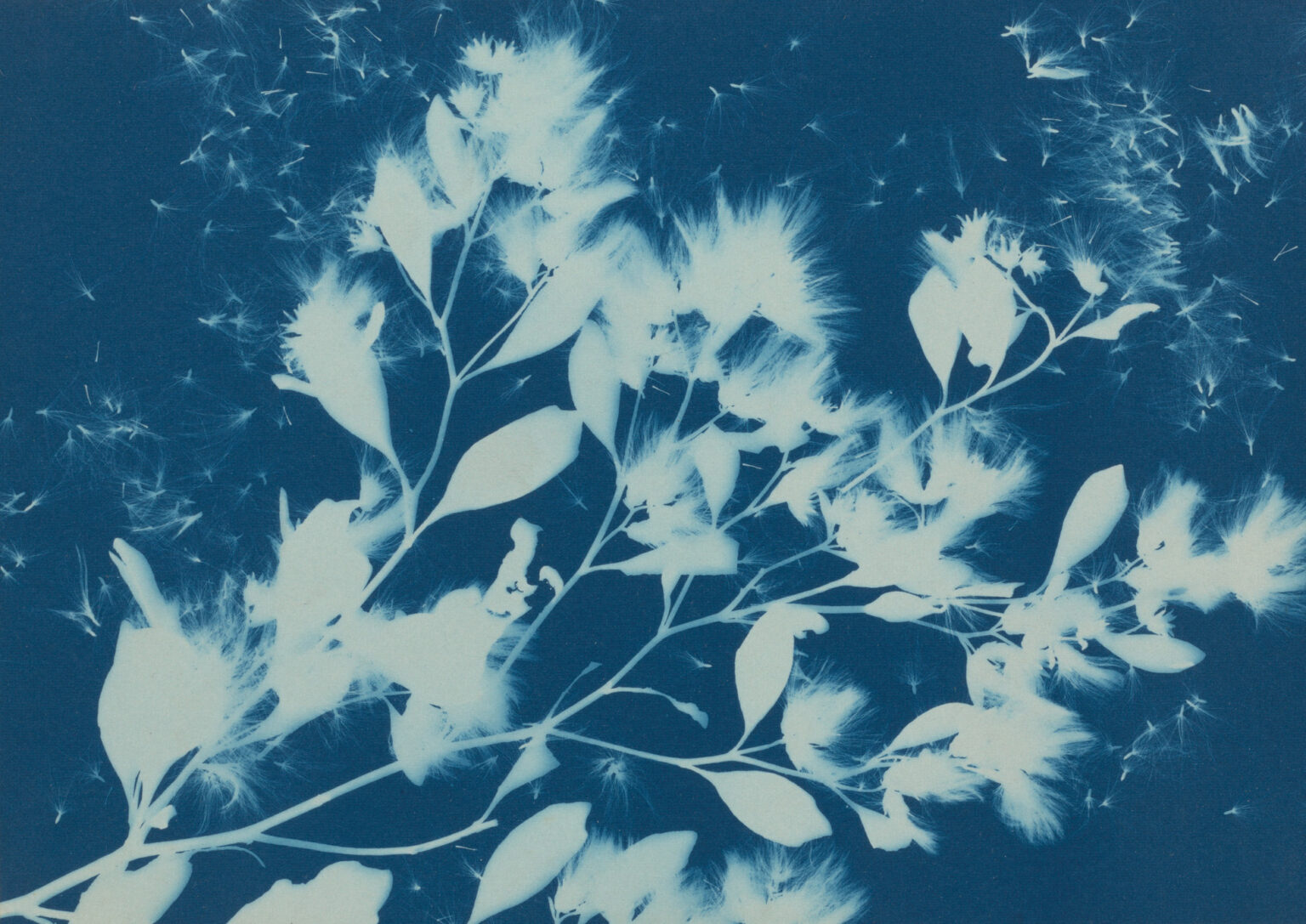 Engaging the Elements: Poetry in Nature