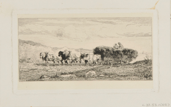 Hay cart pulled by three horses and two ox