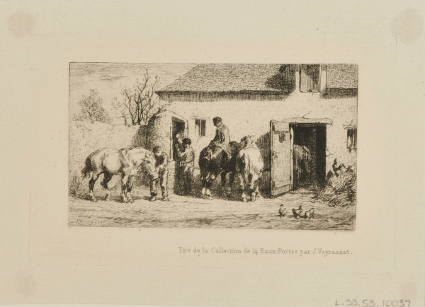 HORSES AT THE TROUGH