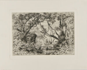 Landscape with pool in a forest